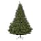 8ft. Pre-Lit Northern Rocky Spruce Artificial Christmas Tree, Clear LED Lights